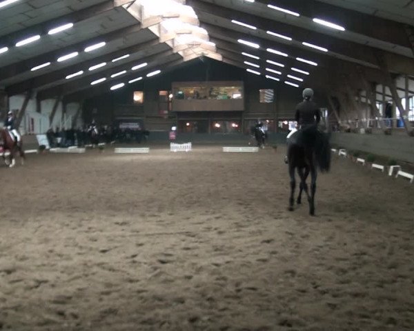 Reitturnier Hamburg-Hummelsbüttel 2017