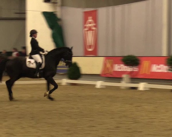 Reitturnier Münster-Handorf 2017