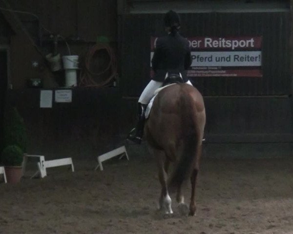 Reitturnier Hamburg-Hummelsbüttel 2017