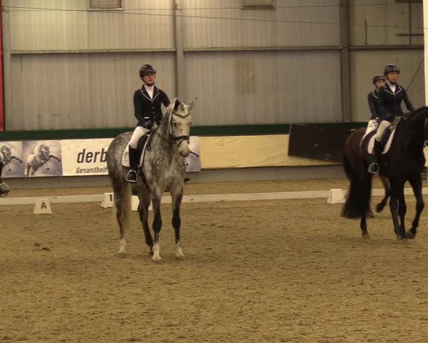 Reitturnier Münster-Handorf 2017