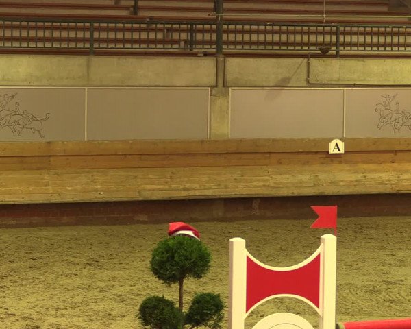 Reitturnier Paderborn 2017