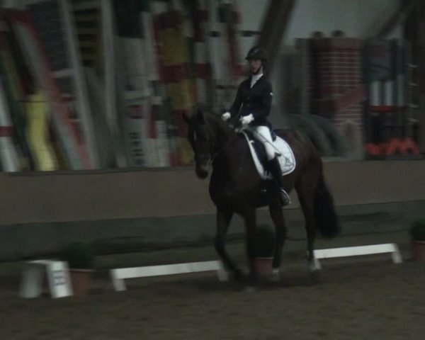 Reitturnier Hamburg-Hummelsbüttel 2017