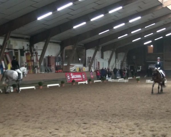 Reitturnier Hamburg-Hummelsbüttel 2017