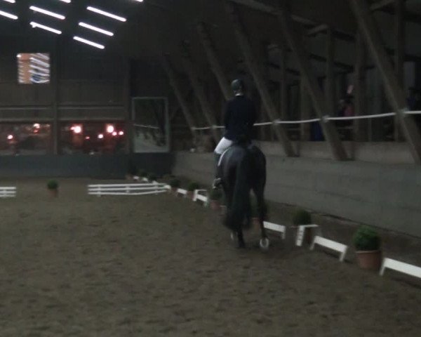 Reitturnier Hamburg-Hummelsbüttel 2017
