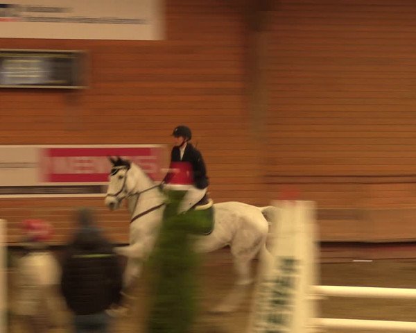 Reitturnier Paderborn 2017