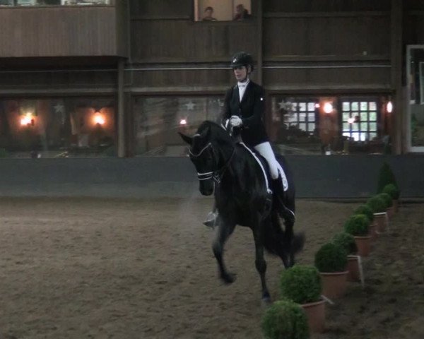Reitturnier Hamburg-Hummelsbüttel 2017