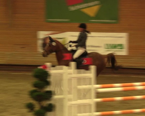 Reitturnier Paderborn 2017