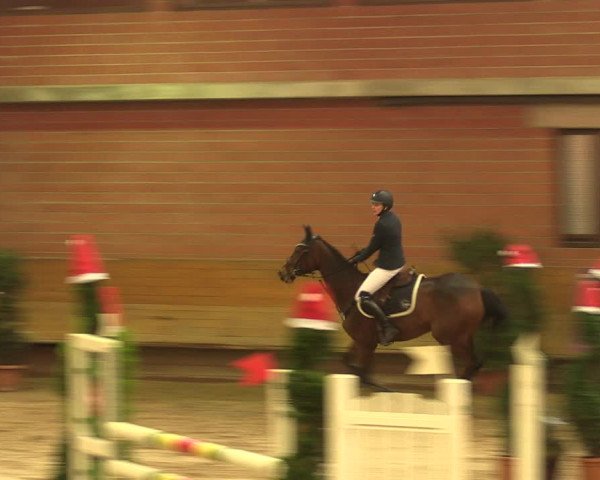 Reitturnier Paderborn 2017