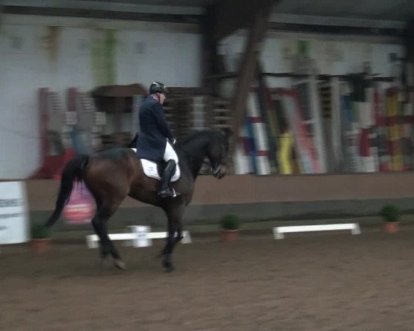Reitturnier Hamburg-Hummelsbüttel 2017