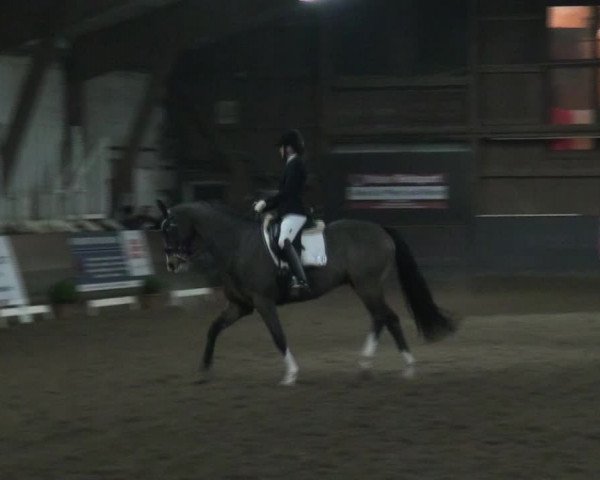Reitturnier Hamburg-Hummelsbüttel 2017