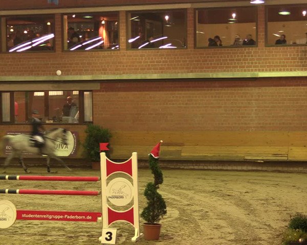 Reitturnier Paderborn 2017