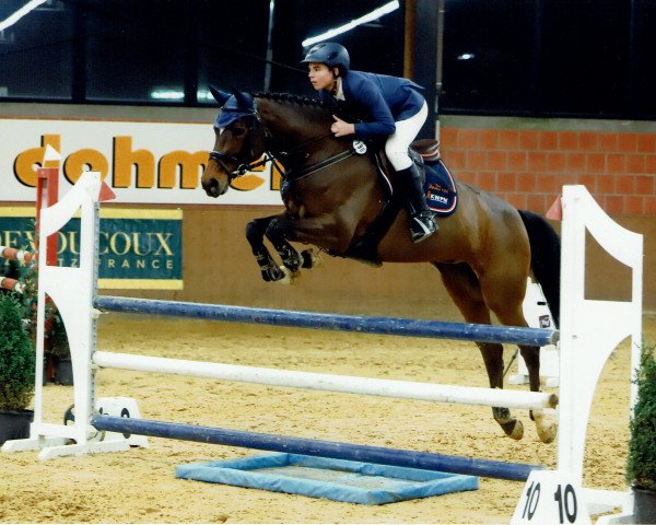 broodmare Datricia (KWPN (Royal Dutch Sporthorse), 2008, from Zapatero VDL)