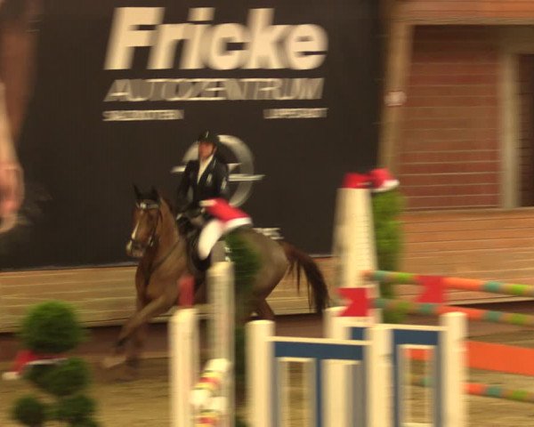 Reitturnier Paderborn 2017