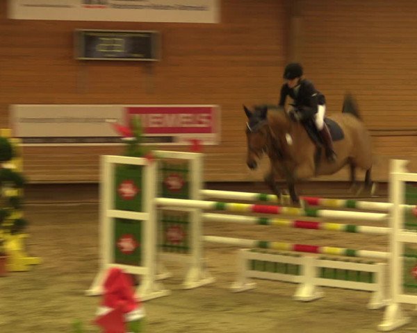 Reitturnier Paderborn 2017