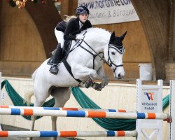 jumper Atlantis 199 (Holsteiner, 2008, from Hermes d'Authieux AA)