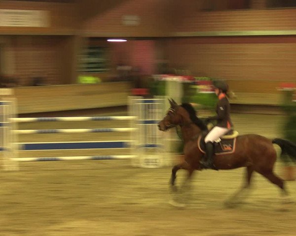 Reitturnier Paderborn 2017