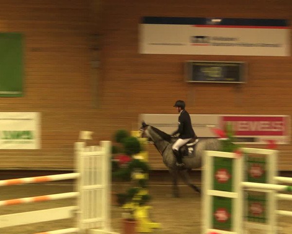 Reitturnier Paderborn 2017