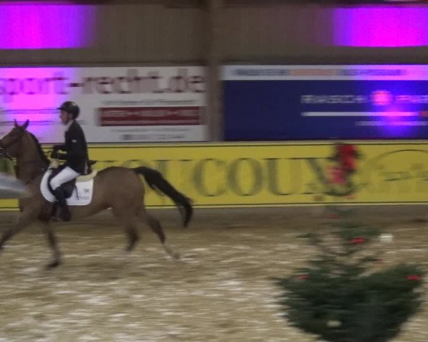 Reitturnier Essen-Stadtwald 2017
