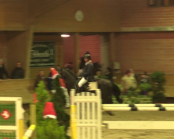 Reitturnier Paderborn 2017