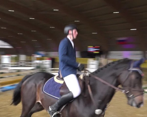 Reitturnier Essen-Stadtwald 2017