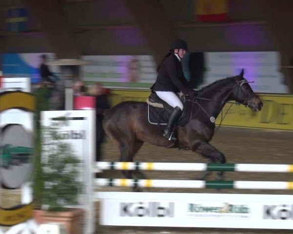 Reitturnier Essen-Stadtwald 2017