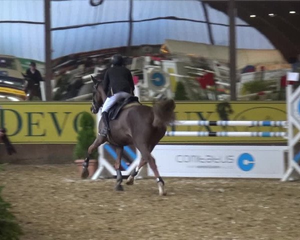 Reitturnier Essen-Stadtwald 2017