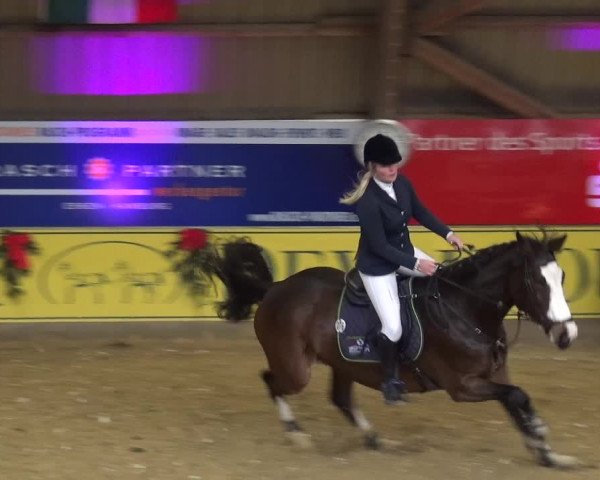 Reitturnier Essen-Stadtwald 2017