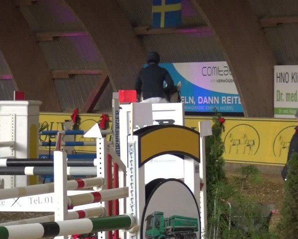 Reitturnier Essen-Stadtwald 2017