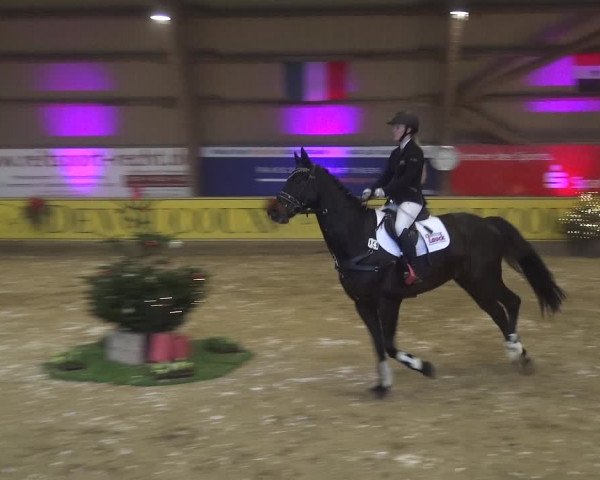 Reitturnier Essen-Stadtwald 2017