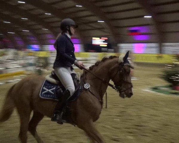 Reitturnier Essen-Stadtwald 2017