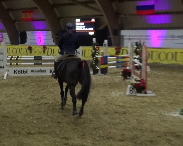 Reitturnier Essen-Stadtwald 2017