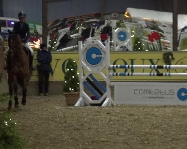 Reitturnier Essen-Stadtwald 2017
