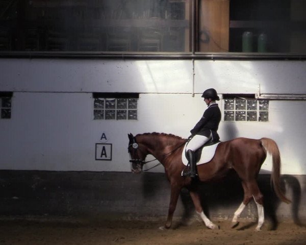 Reitturnier Ascheberg 2021