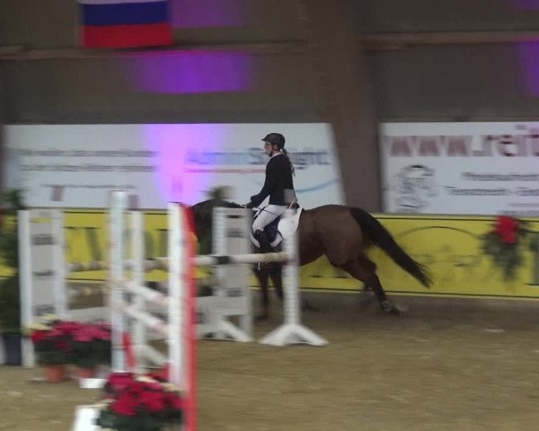Reitturnier Essen-Stadtwald 2017