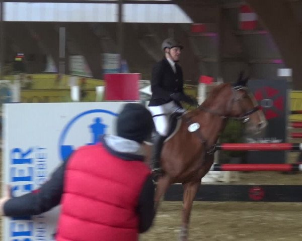 Reitturnier Essen-Stadtwald 2017