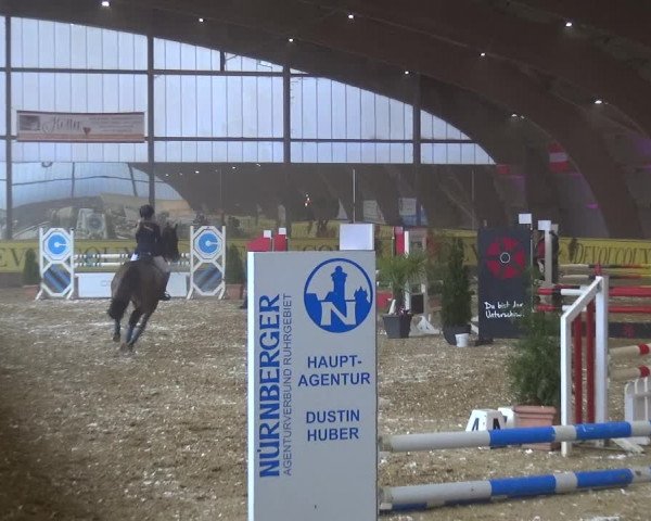 Reitturnier Essen-Stadtwald 2017