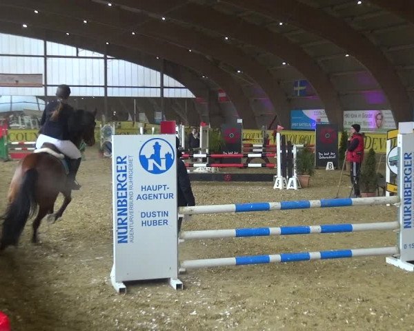 Reitturnier Essen-Stadtwald 2017