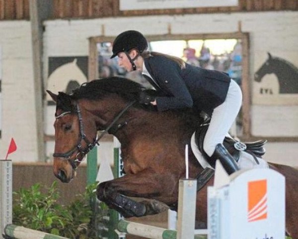 jumper Nasath 2 (German Riding Pony, 2011, from Novalis T)