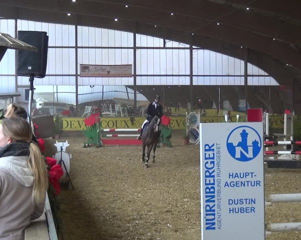 Reitturnier Essen-Stadtwald 2017