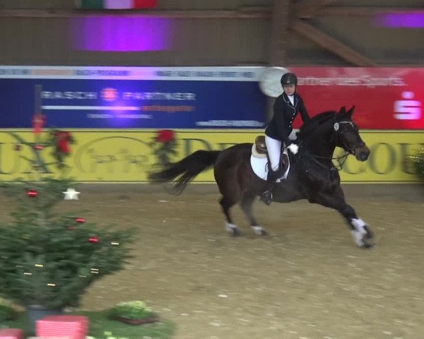 Reitturnier Essen-Stadtwald 2017