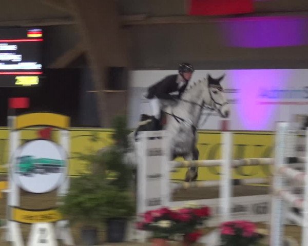 Reitturnier Essen-Stadtwald 2017