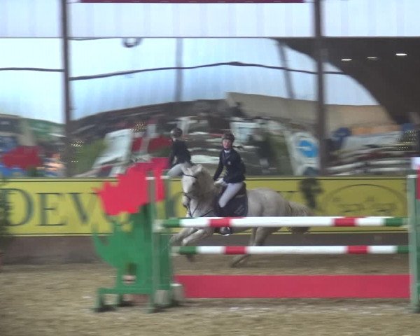 Reitturnier Essen-Stadtwald 2017
