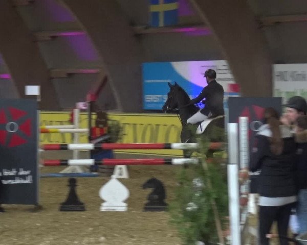 Reitturnier Essen-Stadtwald 2017