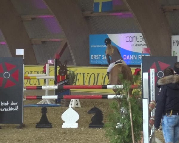 Reitturnier Essen-Stadtwald 2017