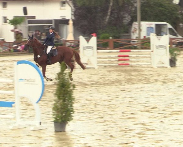 Equus Colonius - Reitanlage Brüse Köln 2021