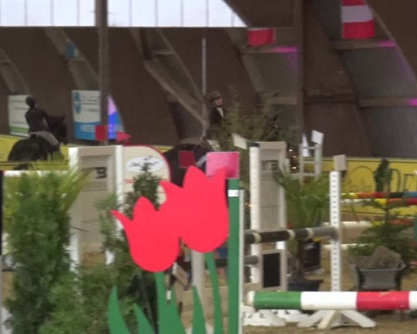 Reitturnier Essen-Stadtwald 2017