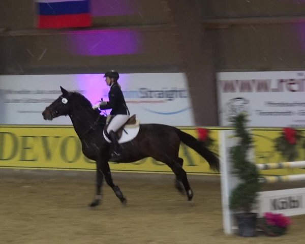 Reitturnier Essen-Stadtwald 2017