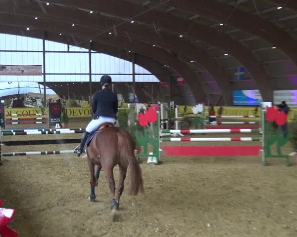 Reitturnier Essen-Stadtwald 2017
