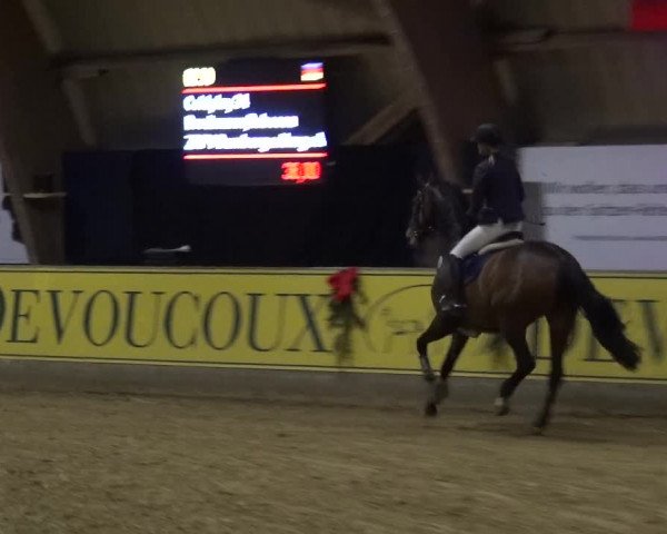 Reitturnier Essen-Stadtwald 2017