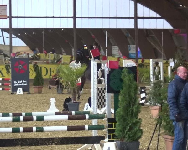 Reitturnier Essen-Stadtwald 2017